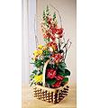 The FTD� Rose Sympathy� Basket