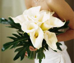 The FTD? Calla Lilies Bouquet