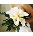 The FTD� Calla Lilies Bouquet