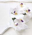 The FTD� White on White� Corsage